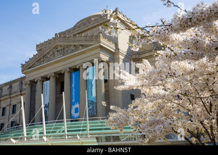 Brooklyn Museum New York City Stock Photo