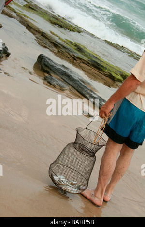 Few small fishes in the basket after the fishing on the Sea. Hobby of senior adult Stock Photo