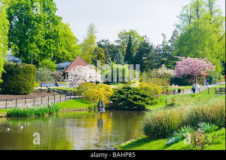 Spring in Golders Hill Park , Golders Green , ornamental pond & gardens & cherry blossom trees Stock Photo