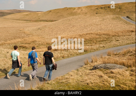 Three young men walking along the Teifi Pools Trail upland Ceredigion rural west wales UK - an area known as The Green Desert Stock Photo