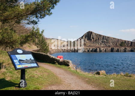 Information sign by path at Cawfields quarry on Hadrian's Wall National Trail in Northumberland National Park England UK Britain Stock Photo