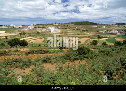 Cultivated fields on farms and private homes in the distance near Al Habalah Asir Region Kingdom of Saudi Arabia Stock Photo