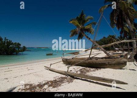 Palm tree on a sandy beach before small island in sea near Nosy Iranja Madagascar Africa Stock Photo