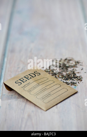 Seed packet for saving flower seeds on a wooden table top. UK Stock Photo