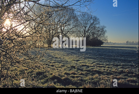 Frosty fields on a winter day in Oxfordshire Stock Photo
