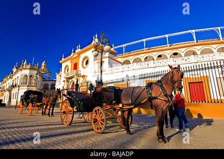 Horse drawn carriages outside the Plaza de Toros de la Maestranza (also La Real Maestranza - Bullring) in the El Arenal. Stock Photo