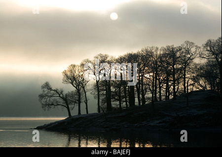 trees on the lake edge silhouetted against sun breaking through a morning mist on Derwent water in the Lake District Stock Photo