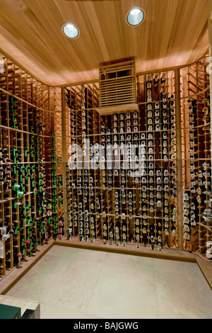 Domestic wine cellar Stock Photo