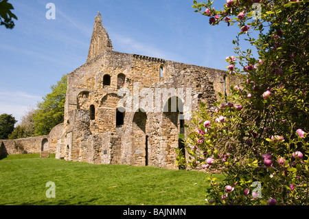 The Norman Battle Abbey at the site of the Battle of Hastings Stock Photo
