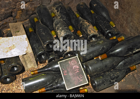 old bottles in the cellar chalk board domaine comte senard aloxe-corton cote de beaune burgundy france Stock Photo