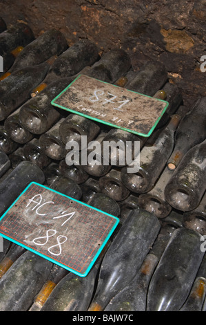 old bottles in the cellar chalk board domaine comte senard aloxe-corton cote de beaune burgundy france Stock Photo