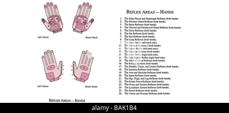 Relfex chart for Hands Stock Photo