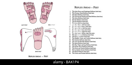 Relfex chart for Feet Stock Photo