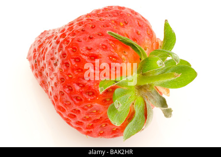 A Single Strawberry  Red Fresh Strawberries summer Fruit Stock Photo