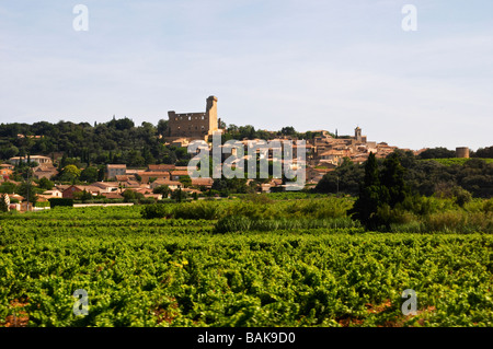 vineyard the ruin chateauneuf du pape rhone france Stock Photo