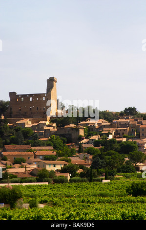 vineyard the ruin chateauneuf du pape rhone france Stock Photo