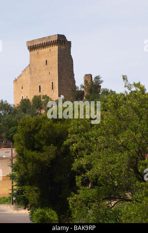 chateau ruin chateauneuf du pape rhone france Stock Photo