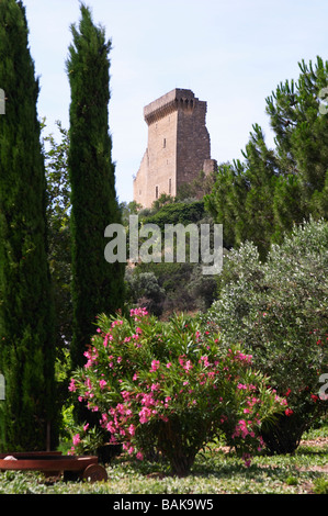 the ruin chateauneuf du pape rhone france Stock Photo