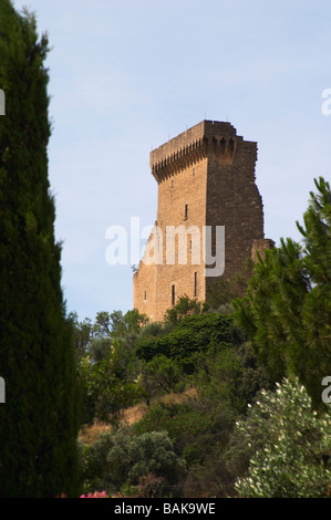 the ruin chateauneuf du pape rhone france Stock Photo