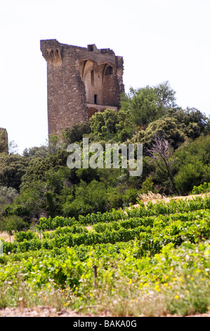 vineyard the ruin chateauneuf du pape rhone france Stock Photo