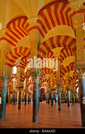 Naves of the Mezquita (Cathedral-Mosque),City of Cordoba,UNESCO World Heritage Site,Province of Cordoba,Andalusia (Andalucia). Stock Photo