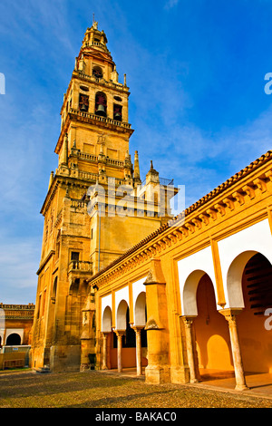 Torre del Alminar,bell tower,of the Mezquita (Cathedral-Mosque) seen from the Patio de los Naranjos,City of Cordoba,UNESCO. Stock Photo