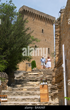 the ruin chateauneuf du pape rhone france Stock Photo