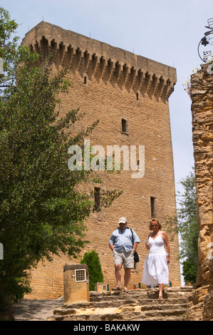 the ruin chateauneuf du pape rhone france Stock Photo