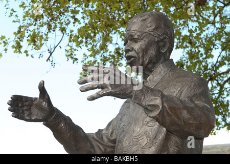 Nelson Mandela bronze statue in Parliament Square Westminster London by sculptor Ian Walters Stock Photo