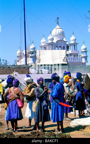 India, Punjab State, Anandpur Sahib, the Nihangs are the Knights of Sikhism, they are an order of fearless Sikhs who are ever Stock Photo