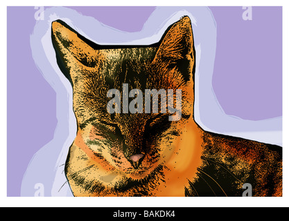 illustration of a cat with a purple background Stock Photo