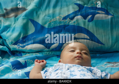 A sleeping five month old baby boy. Baby is half Asian and half Caucasian. Stock Photo