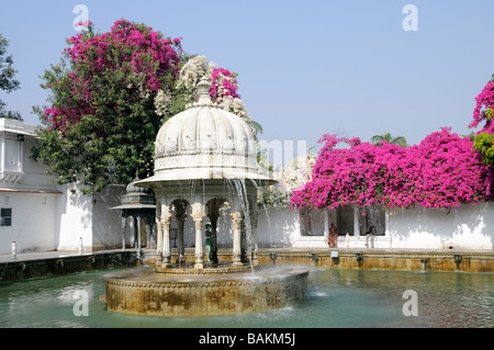 Bougainvillea covers the walls of the reconstructed 18th century gardens of Saheliyon ki Bari. Stock Photo