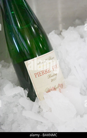 ice bucket riesling 2007 organic domaine pierre frick pfaffenheim alsace france Stock Photo