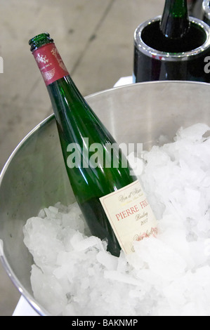 ice bucket riesling 2007 organic domaine pierre frick pfaffenheim alsace france Stock Photo