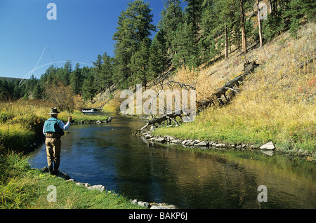 American museum of fly fishing hi-res stock photography and images - Alamy