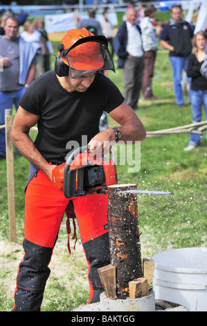 A logger using a chainsaw in a logging competition cutting against ...