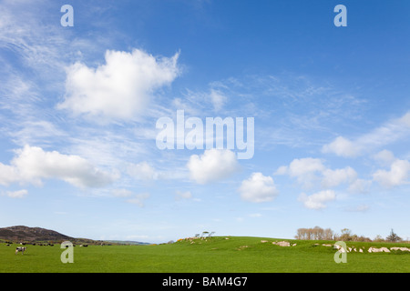 UK Country side scene with big blue sky and white fluffy summer clouds Stock Photo