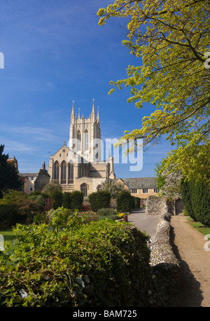 view of St James / St Edmundsbury Cathedral seen from the Abbey Gardens at Bury St Edmunds, Suffolk, UK in 2009 Stock Photo