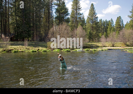 A fly fisherman fishes for trout beneath the ponderosa pine along the Metolius River in the Cascade Mountains of central Oregon Stock Photo