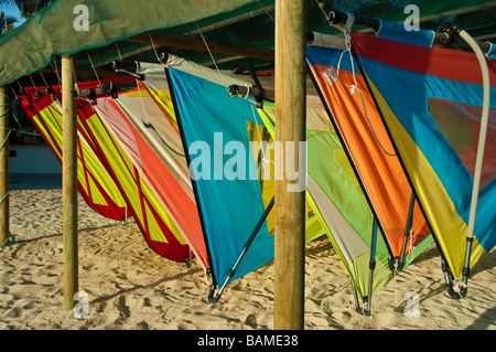 Windsurfing sails in many colours at beach of Sugar Beach Resort Resort Flic en Flac Mauritius Stock Photo