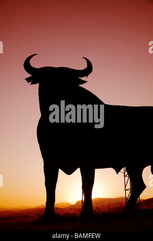 Osborne Bull at Sunset in Casabermeja Malaga Andalusia Spain