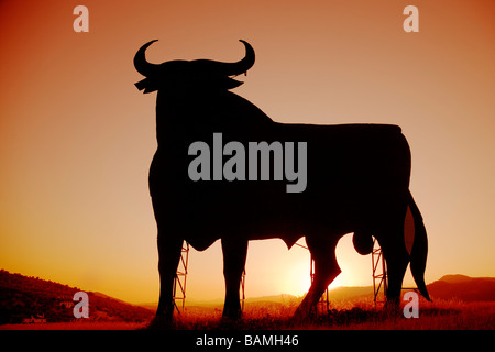 Osborne Bull at Sunset in Casabermeja Malaga Andalusia Spain