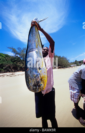 Fisherman Hold Dolphin Fish Dorado Coryphaena Hippurus Caught With Rod 