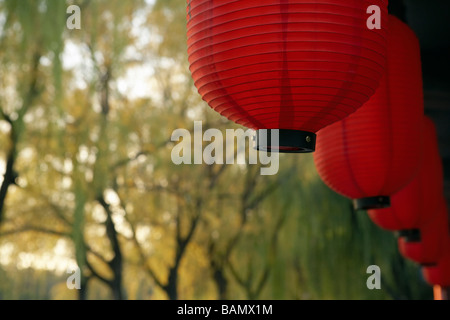 Red Lanterns Hanging In Front Of Trees Stock Photo