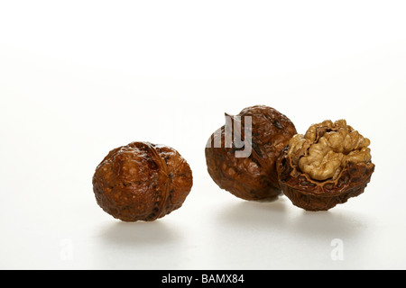Whole and opened walnuts Stock Photo