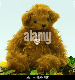 Miniature teddy sitting on a bed of flowers (Mini Bear Collection) Stock Photo