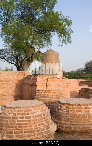 Isipatana deer park Sarnath Uttar Pradesh India Stock Photo