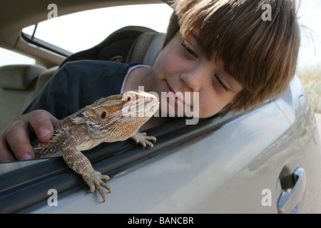 child with pet bearded dragon hanging out of car, looking at the view, traveling with lizard Stock Photo