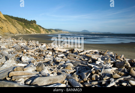 Driftwood on beach - Cape Blanco State Park - near Port Orford, Oregon Stock Photo